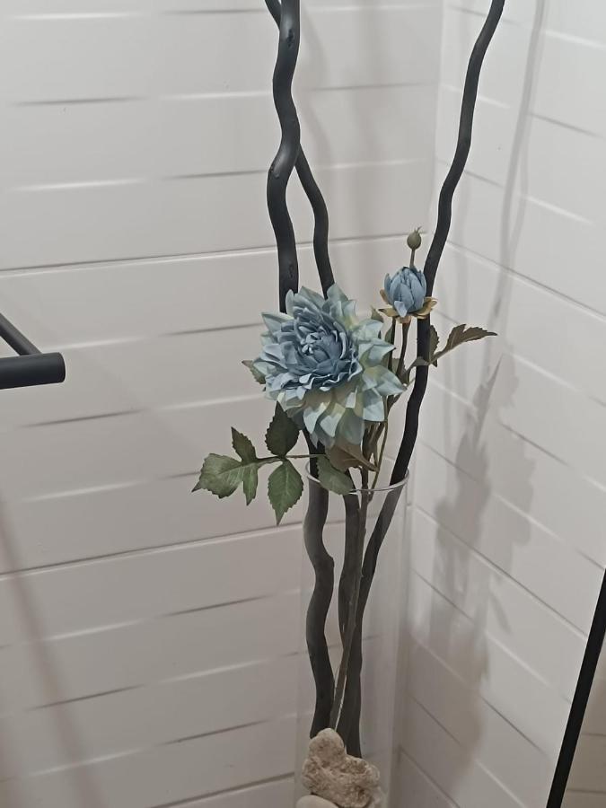 Apartament Anfiteatre Roma Tarragona Zewnętrze zdjęcie